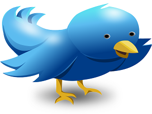 How To Use Twitter Lead Generation Cards